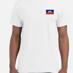 T-shirt La Dessalinienne en français